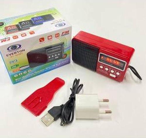 RT-303 Usb Ve Micro Kart Girişli Manuel El Radyosu