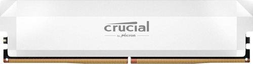 Pro 16GB (OC) 6400MHz DDR5 CP16G64C38U5W