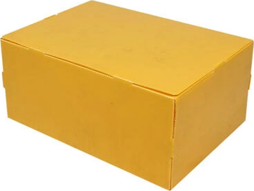 40x29x18 Plastik Kutu - Büyük Boy
