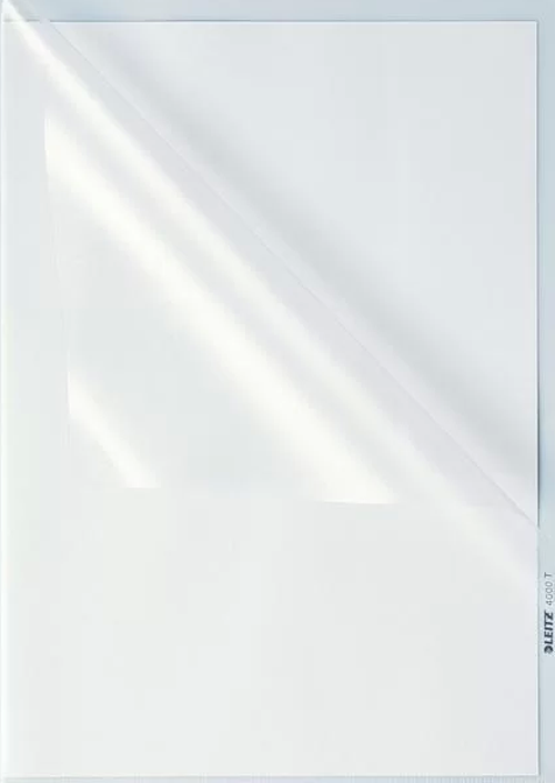 4000 L Poşet Dosya (100 lü Paket)