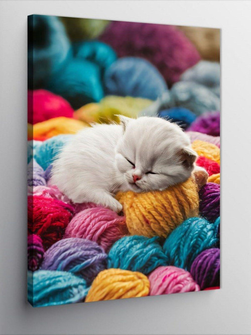 Kanvas Tablo Renkli Yünlerde Uyuyan Kedi