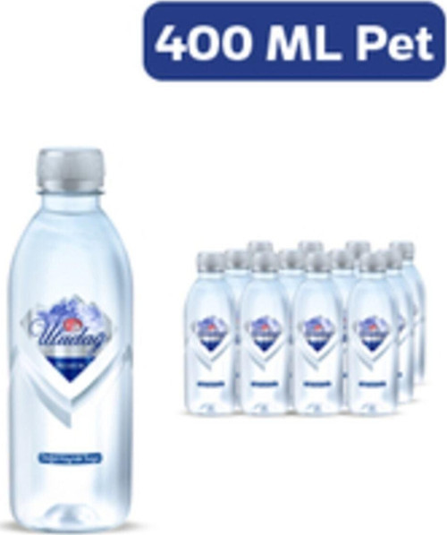 Premium Su Pet 400 Ml 12?Li Paket