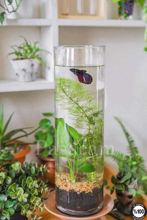 Delizli El Imalati 60 Cm - El Işciliği Silindir Vazo 3 Mm Cam Kalınlığında Ps60 Kalın Taban