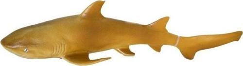 Deniz Hayvanları Serisi - E022-SarıKöpekbalığı