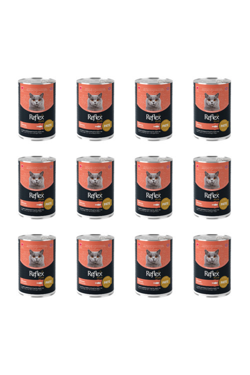 Plus Pate İçinde Et Parçacıklı Somonlu Yetişkin Kedi Konservesi 395 Gr (12 Adet)