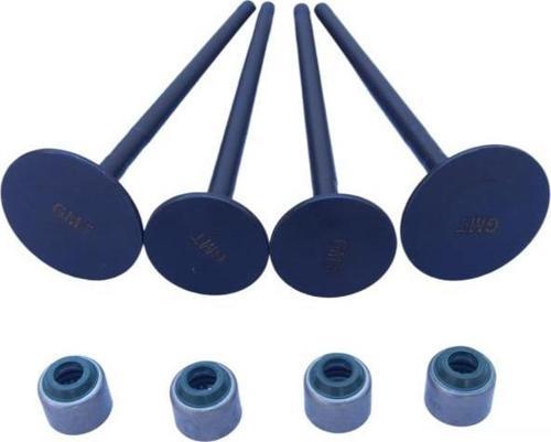 Discover 150 Sibop Ve Keçesi 4 Lü Set Gomet