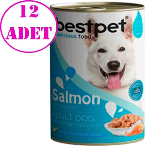 Somonlu Soslu Yetişkin Köpek Konservesi 400gr 12 AD