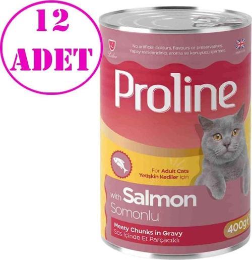 Kedi Konserve Maması Somonlu 400 Gr 12 AD
