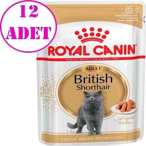 British Shorthair Yetişkin Kedi Konservesi 85 Gr 12 Ad