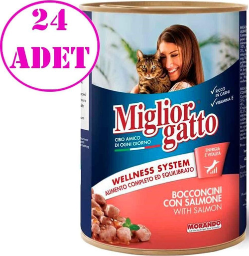 Kedi Konservesi Somon Balıklı 405 Gr 24 AD