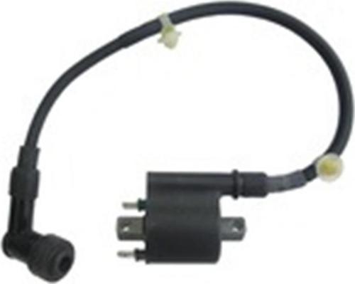 Ateşleme Bobini Oem Honda Spacy 110 Actıva 125 S Ps