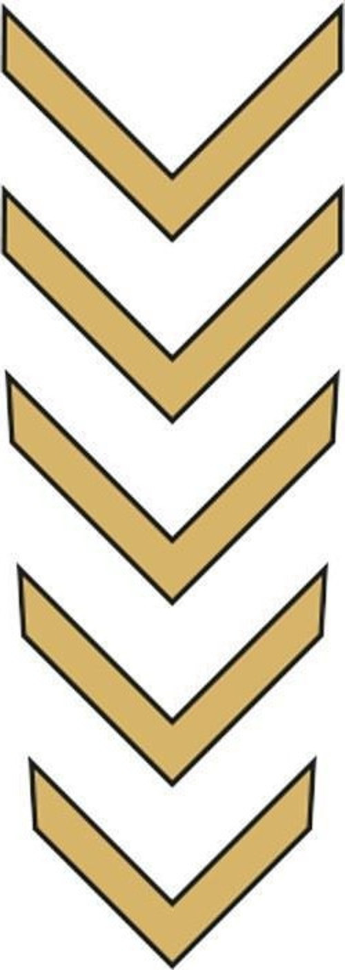 Sevenkardeşler Cg Gold Çamurluk Üst Sticker