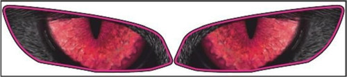 R25 2019 - 2024 Uyumlu Far Sticker 001