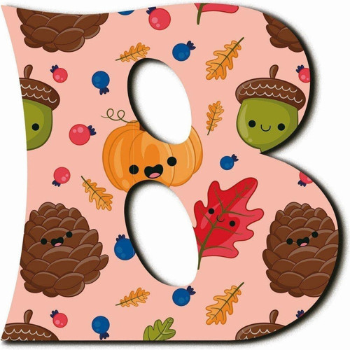B Harfli Kawaii Kozalak Ve Bal Kabağı Desenli Magnet