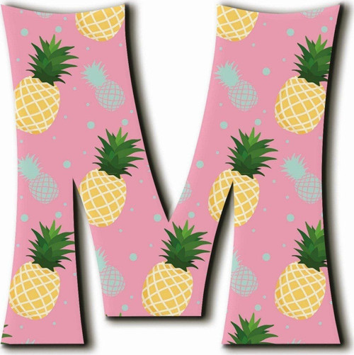 M Harfli Ananas Desenli Magnet