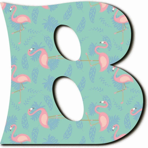 B Harfli Flamingo Desenli Magnet