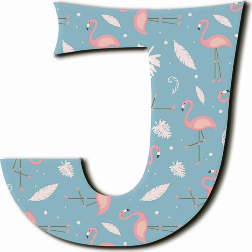 J Harfli Flamingo Desenli Magnet