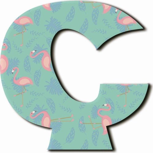 Ç Harfli Flamingo Desenli Magnet