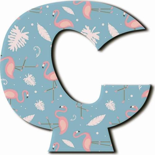 Ç Harfli Flamingo Desenli Magnet