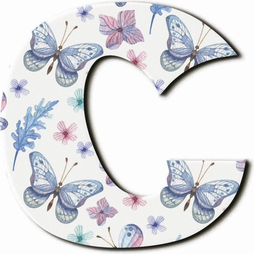 C Harfli Kelebek Desenli Magnet