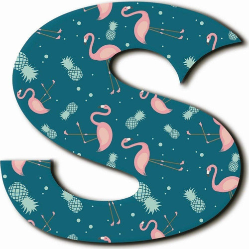 S Harfli Flamingo Desenli Magnet
