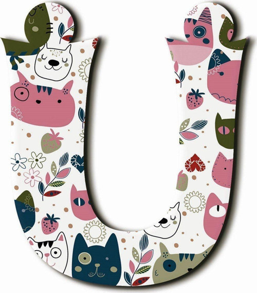 Ü Harfli Kedi Desenli Magnet