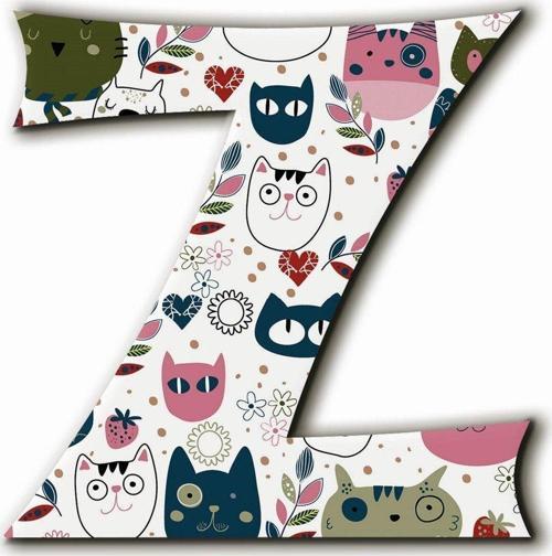 Z Harfli Kedi Desenli Magnet