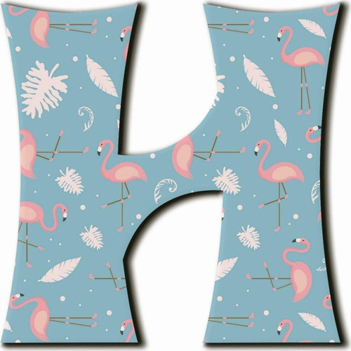 H Harfli Flamingo Desenli Magnet