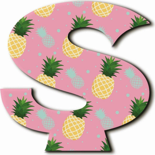 Ş Harfli Ananas Desenli Magnet