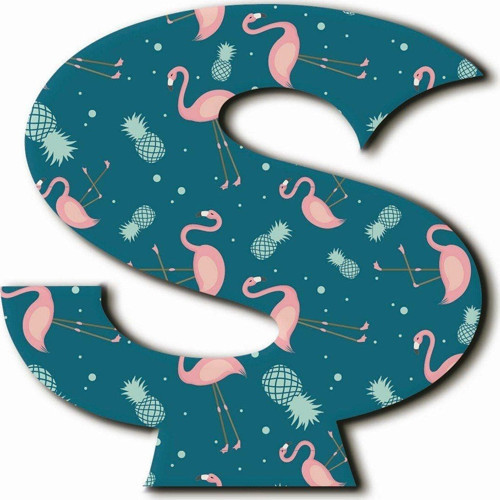 Ş Harfli Flamingo Desenli Magnet
