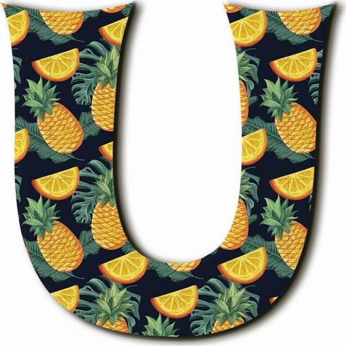 U Harfli Ananas Ve Portakal Desenli Magnet