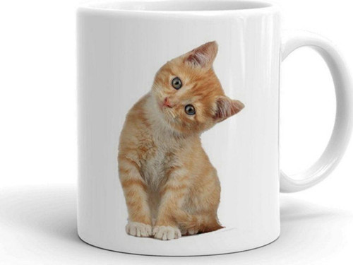 Masum Kedi Seramik Kupa