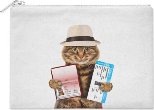 Gezgin Kedi Makyaj Çantası