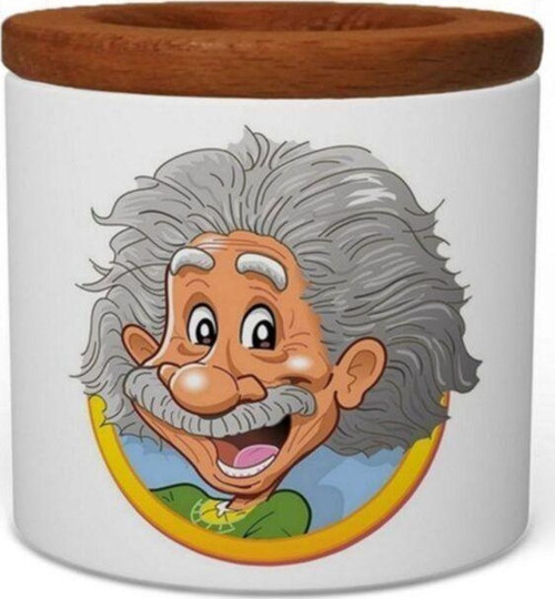 Einstein Ahşap Kapaklı Seramik Kalemlik