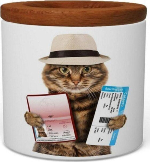 Gezgin Kedi Ahşap Kapaklı Seramik Kalemlik