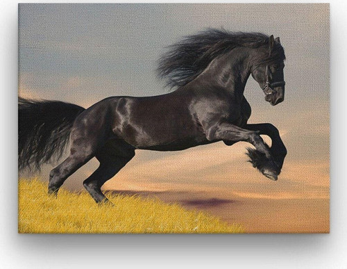 Siyah At Kalın Çerçeveli Ahşap Duvar Tablosu 42X52 Cm