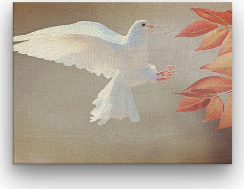 Beyaz Güvercin Kalın Çerçeveli Ahşap Duvar Tablosu 42X52 Cm