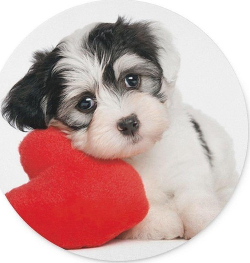 Aşkperest Köpek Yuvarlak Mouse Pad