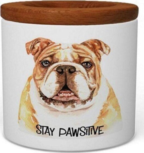 Stay Pawsitive Seramik Kalemlik