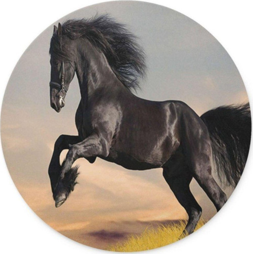 Siyah At Yuvarlak Mouse Pad