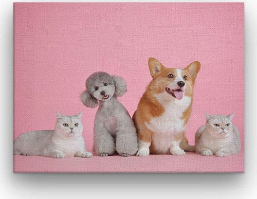 Köpekler Ve Kediler Kalın Çerçeveli Ahşap Duvar Tablosu 42X52 Cm