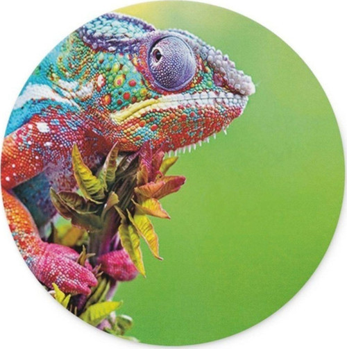 Bukalemun Yuvarlak Mouse Pad