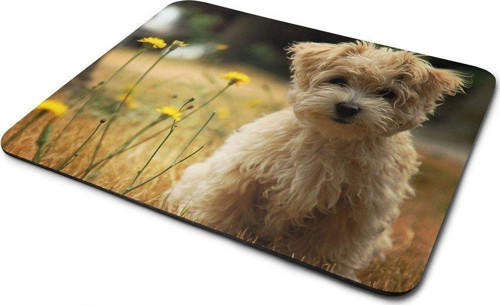 Yavru Köpek Mouse Pad