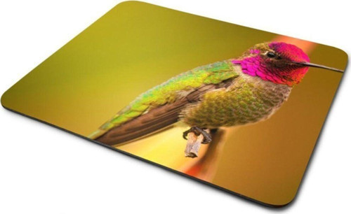 Yalıçapkını Kuş Mouse Pad