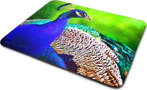 Tavuskuşu Temalı Mouse Pad