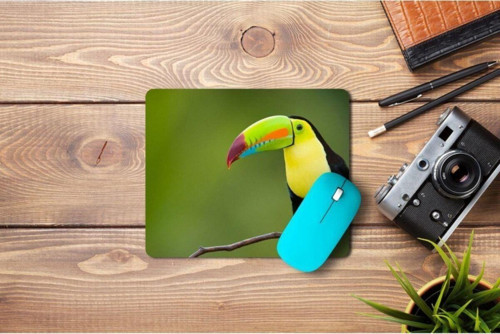Toucan Kuşu Yeşil Mouse Pad