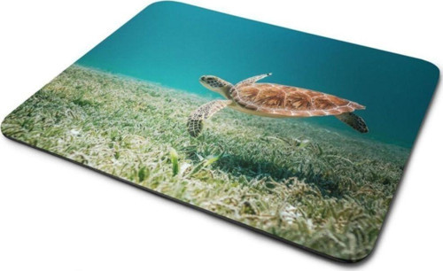Caretta Caretta Kaplumbağa Mouse Pad