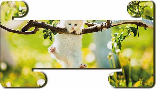 Canbaz Kedi Mdf Yatay Ve Dikey Baskılı Tablet Standı