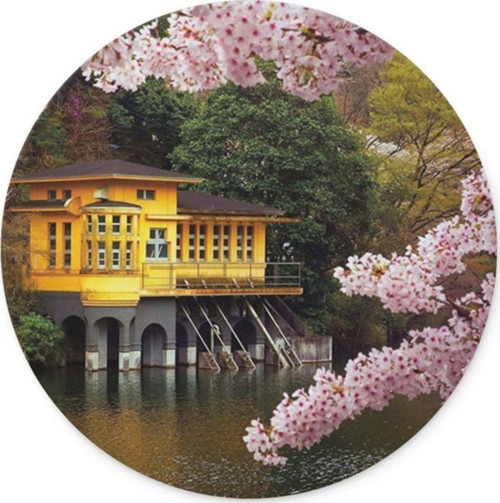 Göl Kenarındaki Ev Yuvarlak Mouse Pad