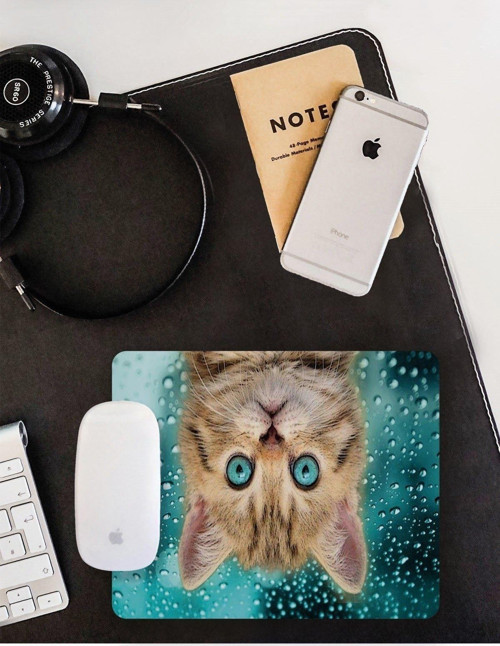 Yavru Kedi Mouse Pad
